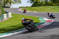 cadwell-no-limits-trackday;cadwell-park;cadwell-park-photographs;cadwell-trackday-photographs;enduro-digital-images;event-digital-images;eventdigitalimages;no-limits-trackdays;peter-wileman-photography;racing-digital-images;trackday-digital-images;trackday-photos